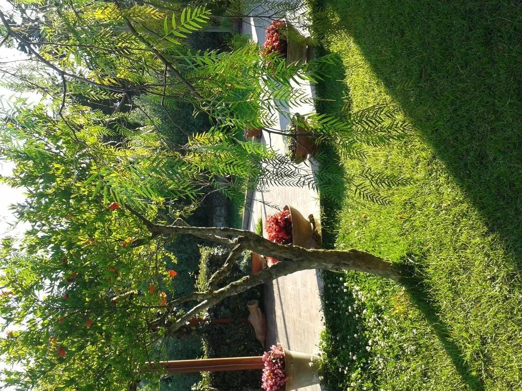 Villa Ambrosia