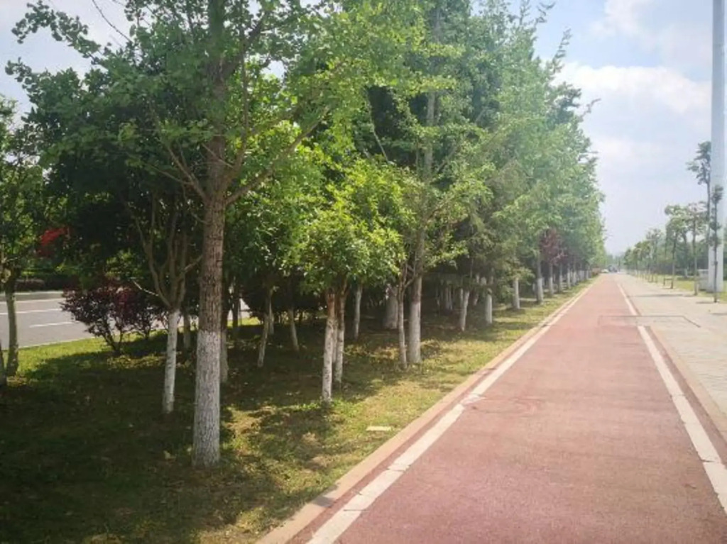 Tongxinglou Express Hotel