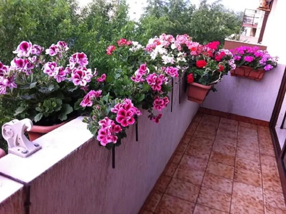 B&B Casa Mia
