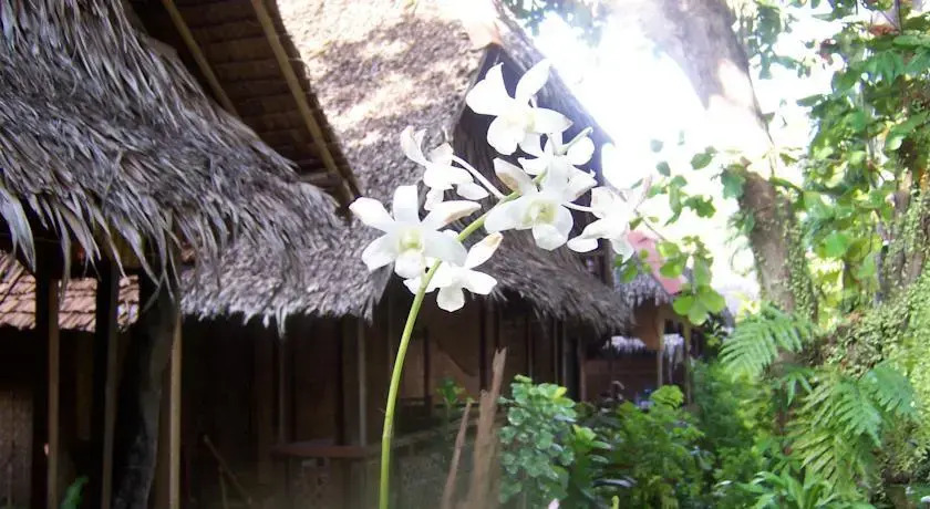 Melindas Garden