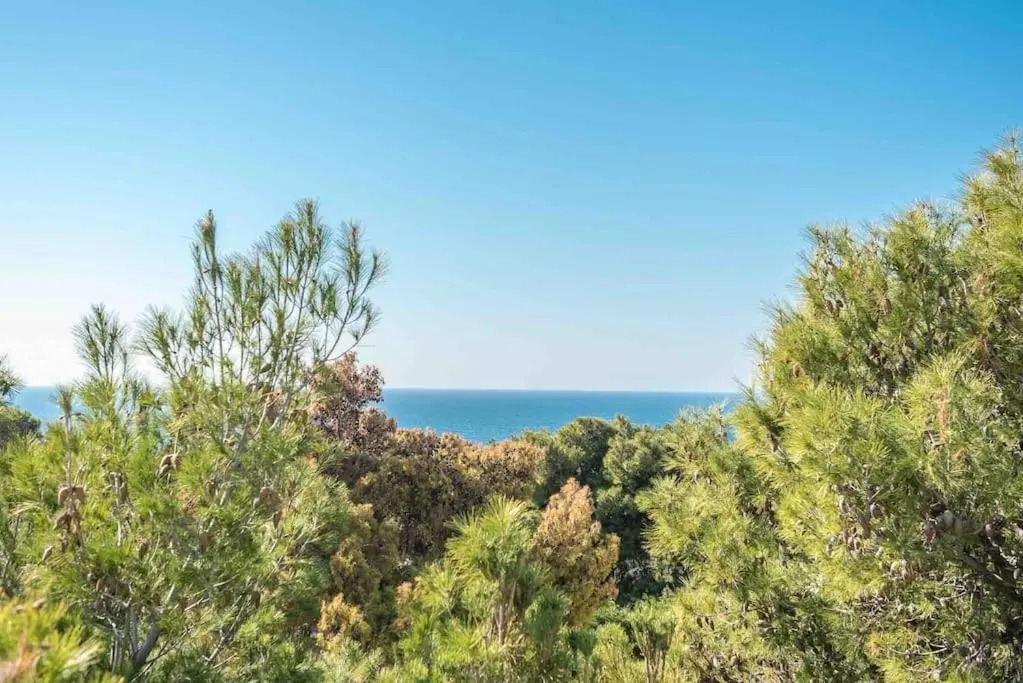 Saronis seaview 2bdr residence 500m from the beach