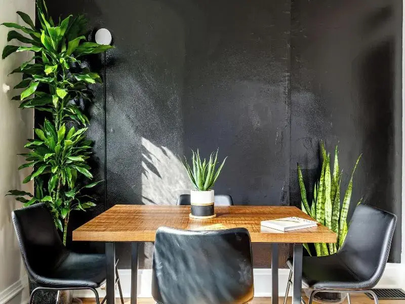 Jungle House Historic Lofts – German Village