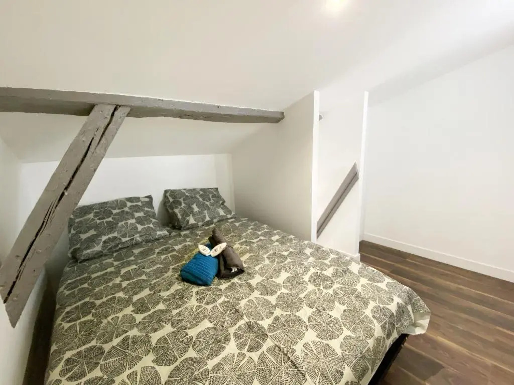 Hypercentre 9 Toulousain : appartement équipé