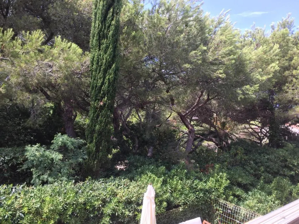 T2 de 33 m2 plus terrasse de 20m2 vue sur mer climatisé à 10 secondes chrono à pied de la plage , mer et sentier du littoral Résidence marina cap négre Six-Fours-les-Plages