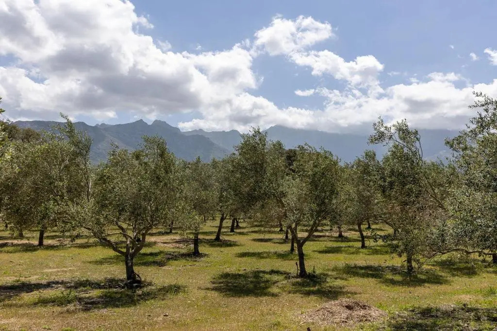 Domaine du Reginu