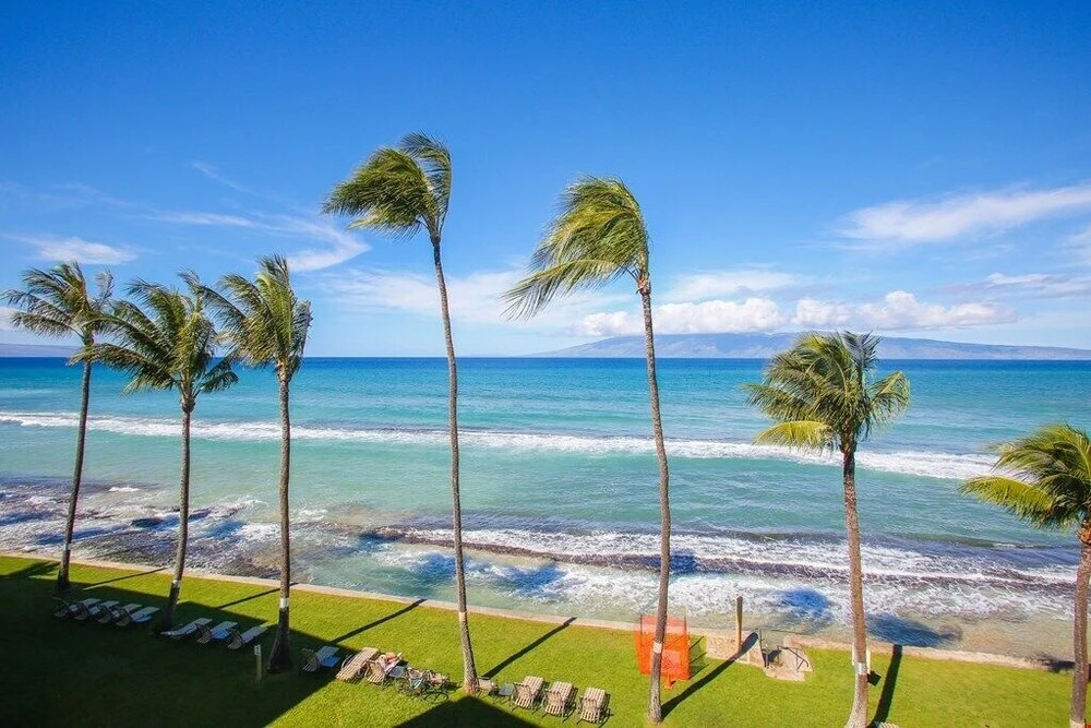 Paki Maui 127