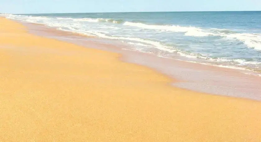 Flagler Sand Dollar by Vacation Rental Pros
