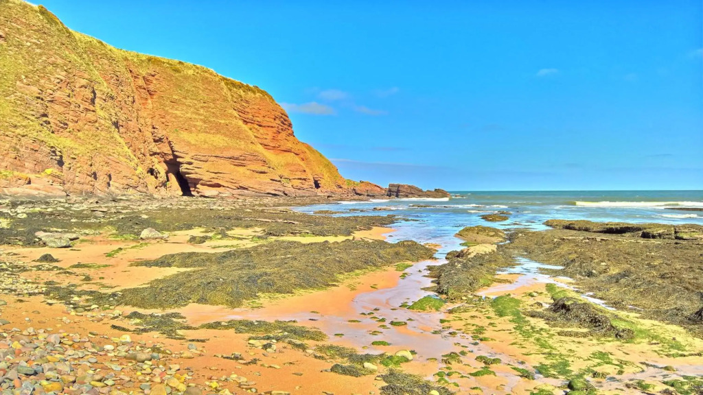 The Wee Anchor