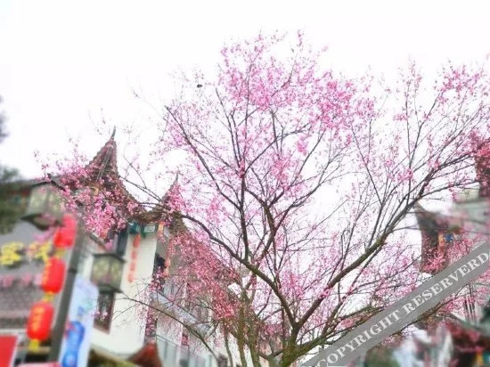 Tujia Chinese Inn (Enshi Tujia Girl's Town)