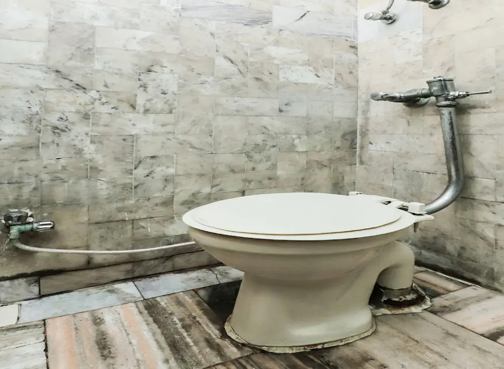 Oyo 22135 Hotel Kanishka Palace