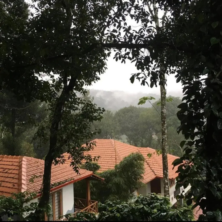 Young Island - Coorg