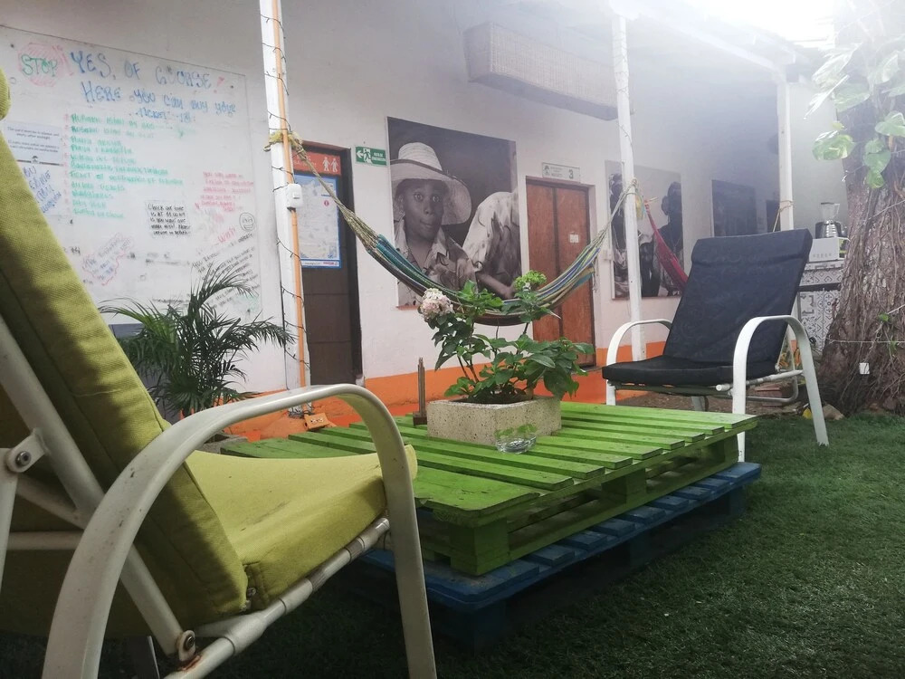 Tree House Hostel
