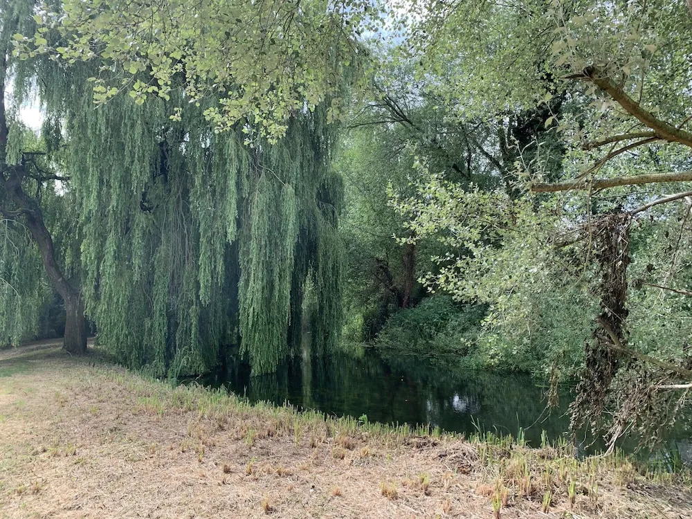 Wensum Glamping