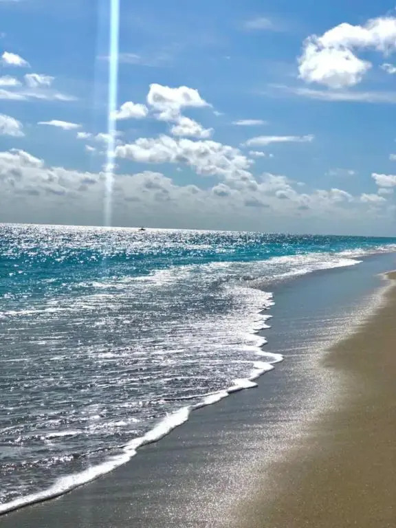 Palm Beach Paradise Walk to Beach Pool WiFi 86" TV WiFi