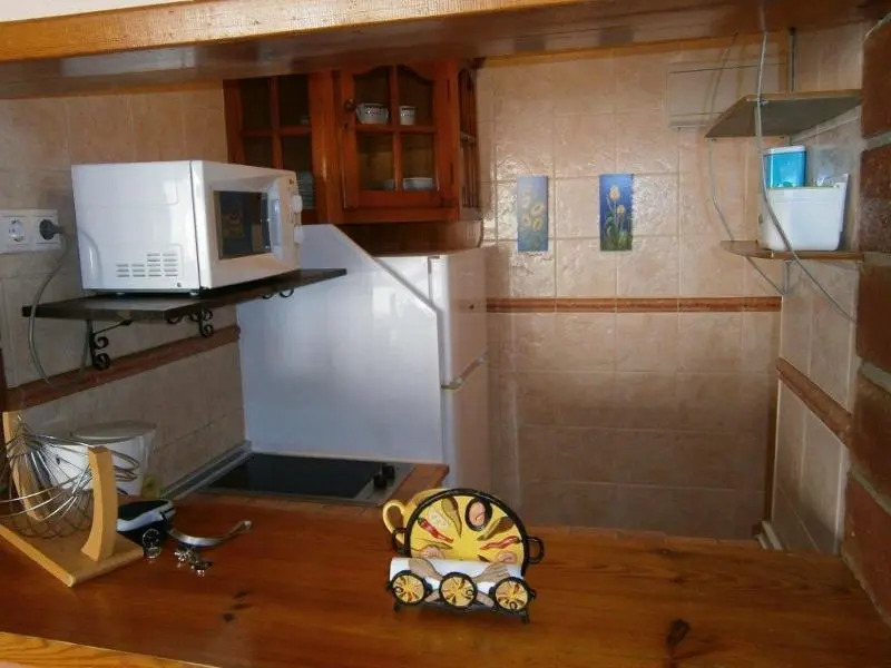 Apartment in Torrox, Malaga 102919