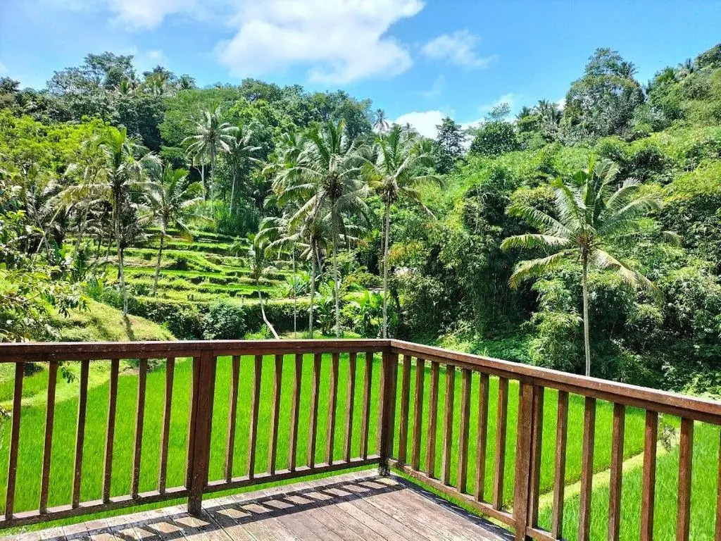 Tirta sari