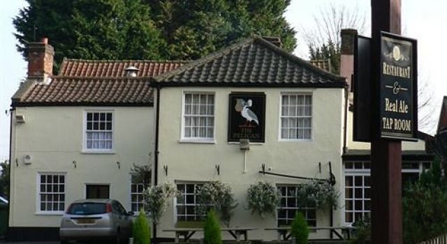 The Pelican