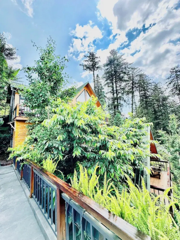 Sapa Pine Hill Eco Lodge