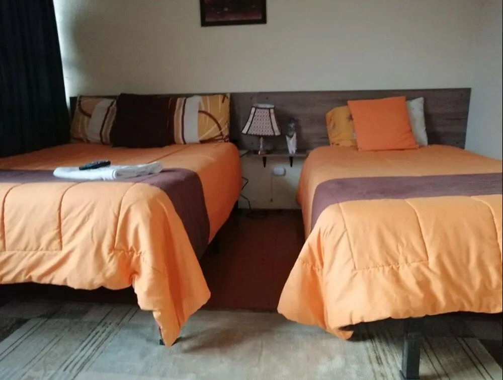 Hostal Novel