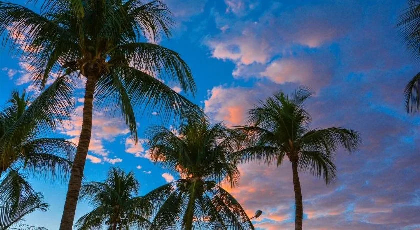 Fiesta Bahiana Club Hotel
