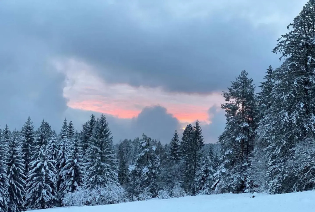 Schwarzwald Wohnung Kniebis