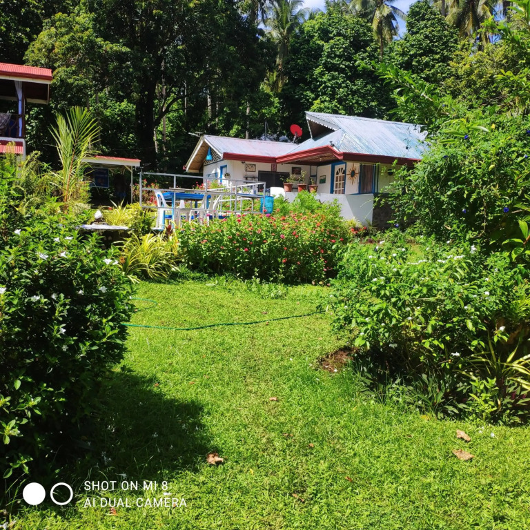 Sun House Rental