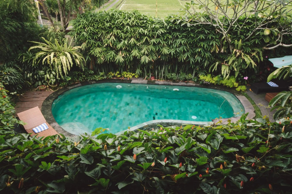 Junjungan Ubud Hotel and Spa