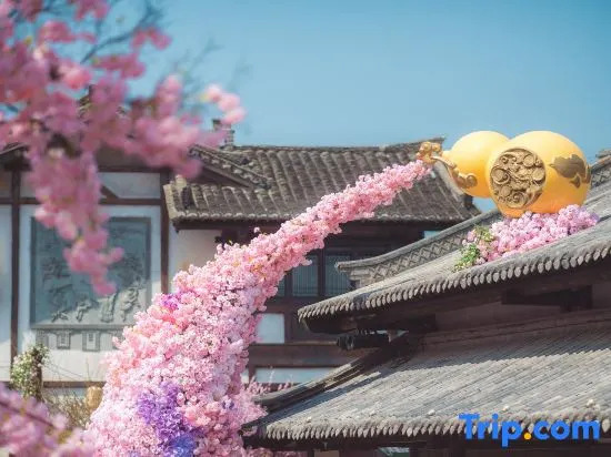 Maoshan Oriental Salt Lake City Mountain Hidden Su