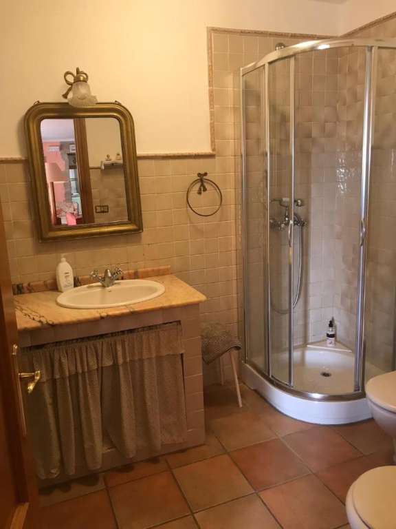 El Olivo de Sansol