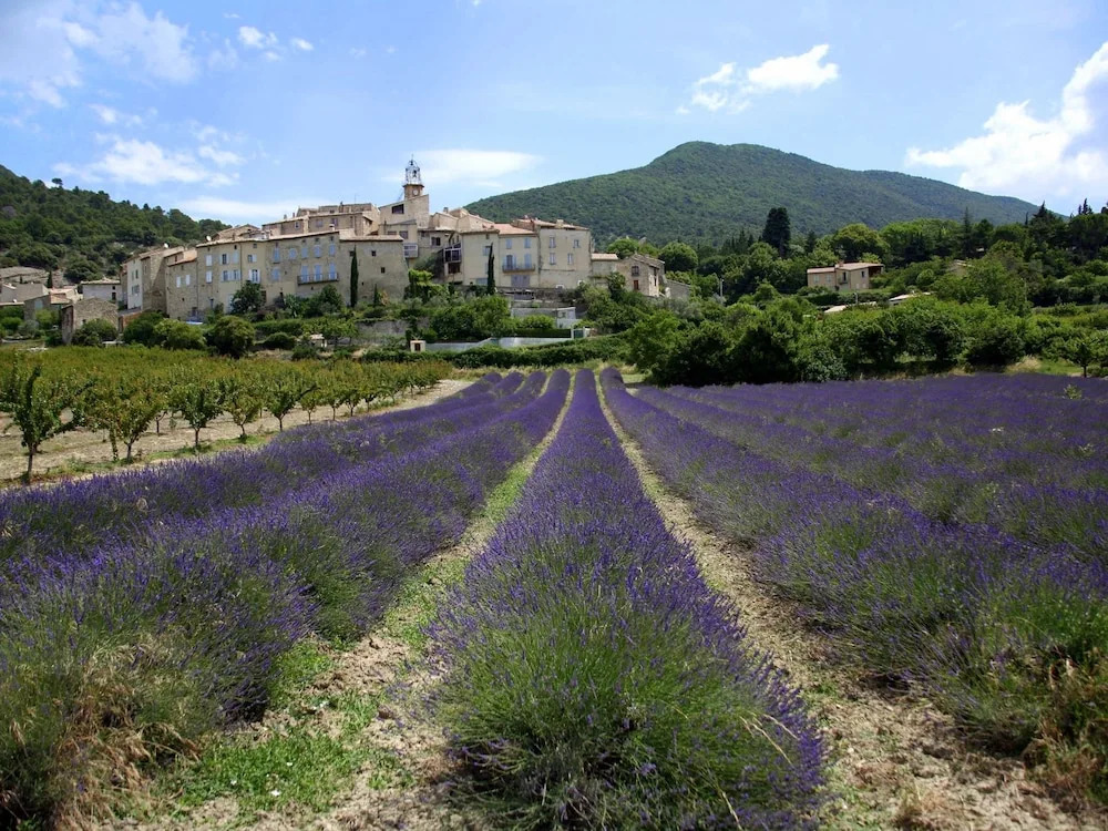 Cosy House With Private Pool Near Valence
