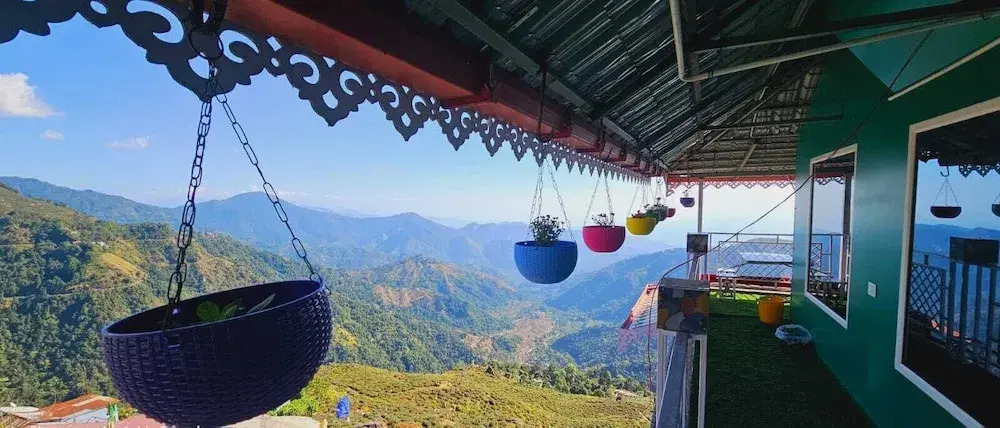 Tea Nest Cafe Nd Homestay