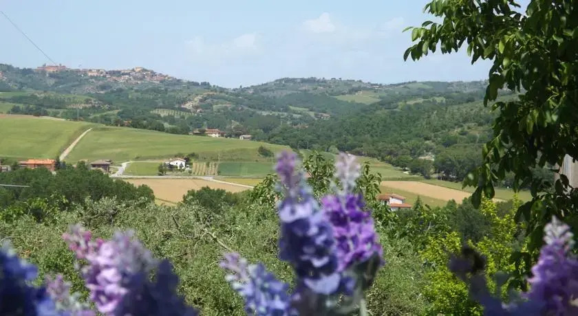 La Noce