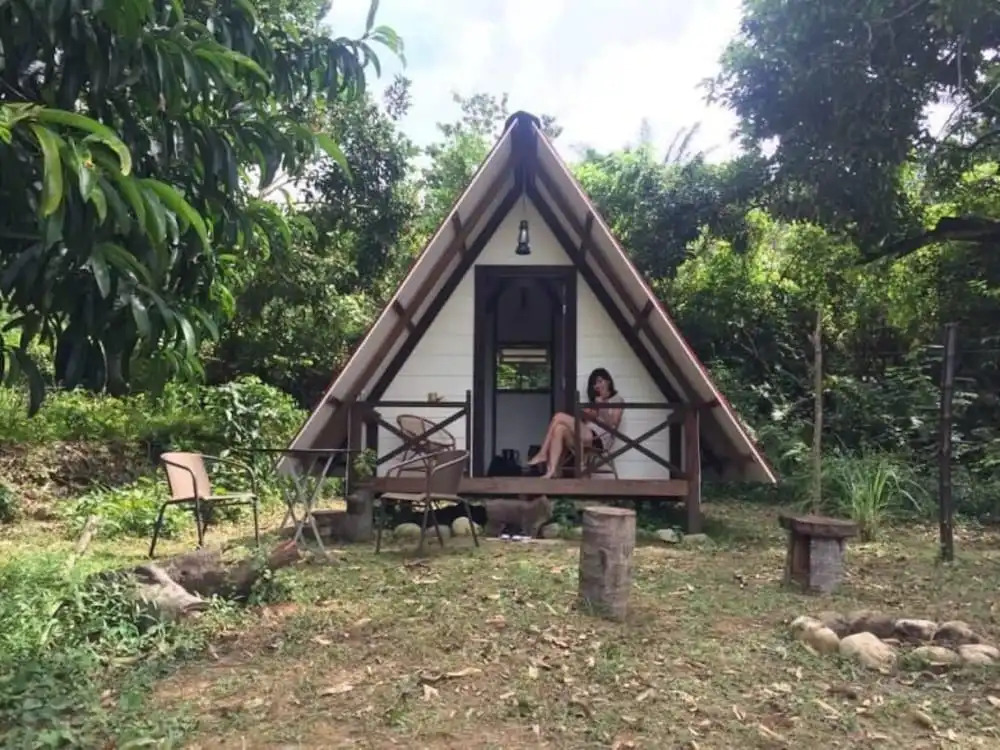 The Forest Cabin Taiping