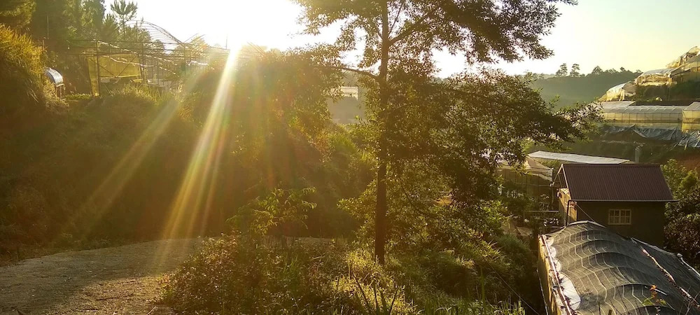 Tuyết Hoa Hòn Bồ Homestay