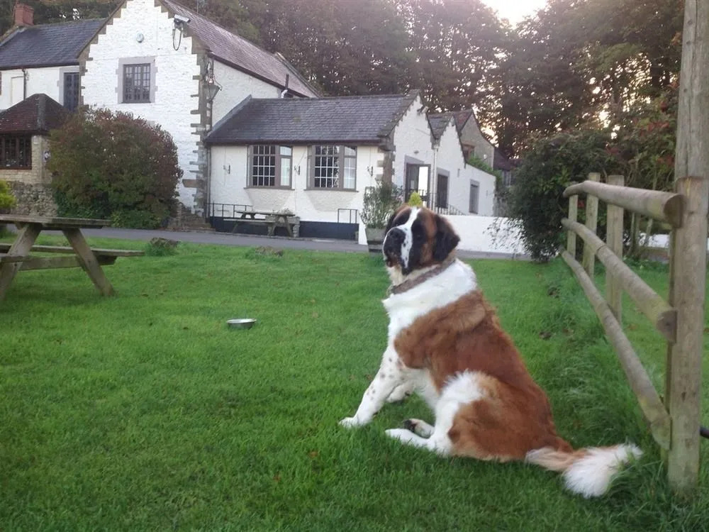 Winyards Gap Inn