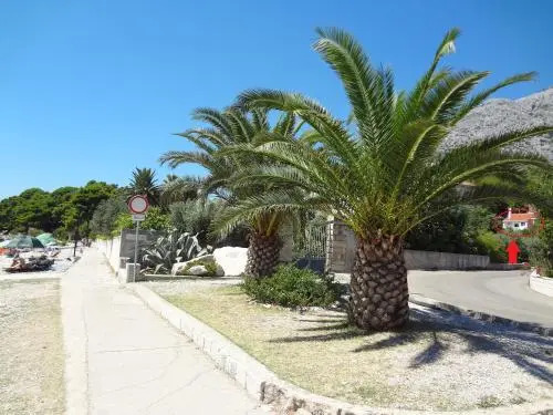 Apartments Frano Jr by the Sea