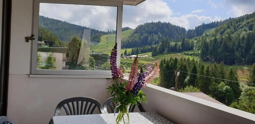 Appartement Les Oursons La Bresse