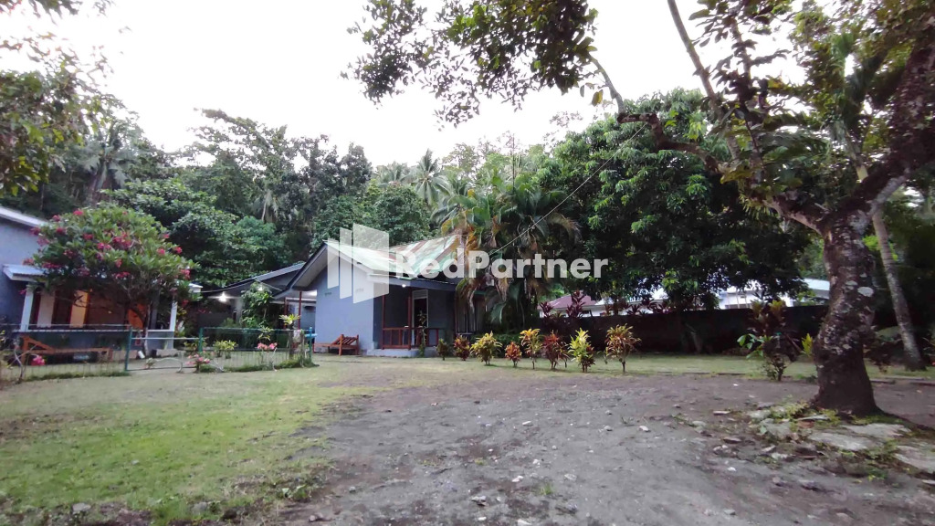 Tangkoko Ranger Homestay