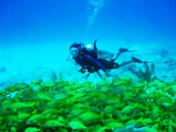 Hotel y Centro de Buceo Sirius