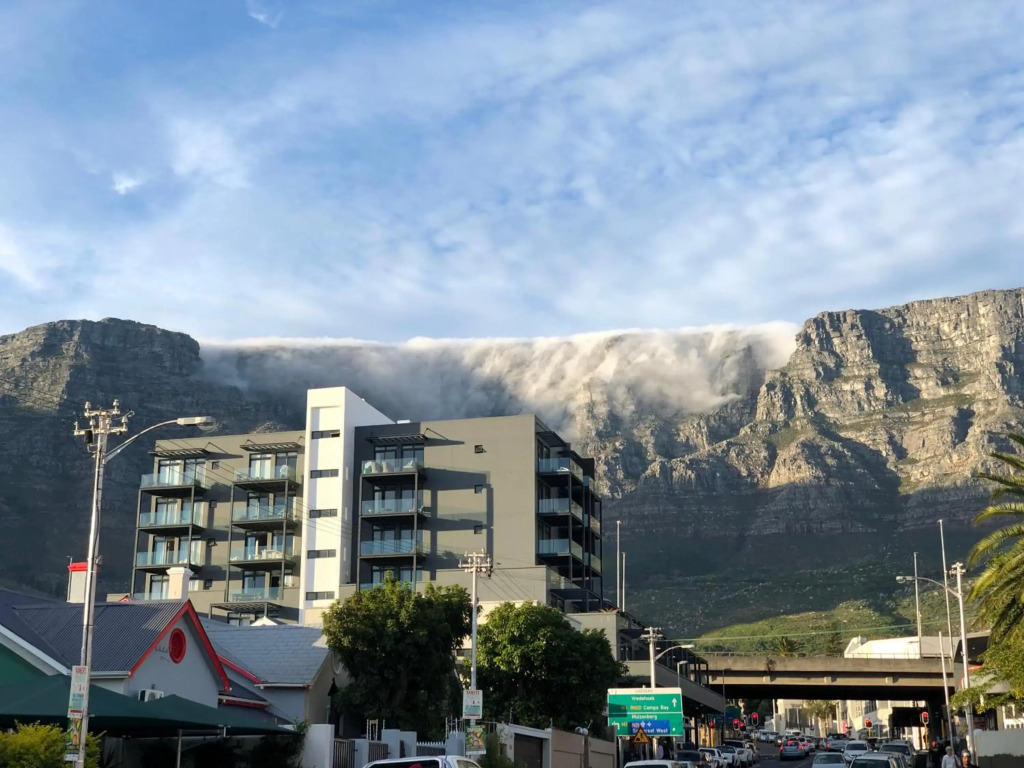 Urban luxury in the East Precinct