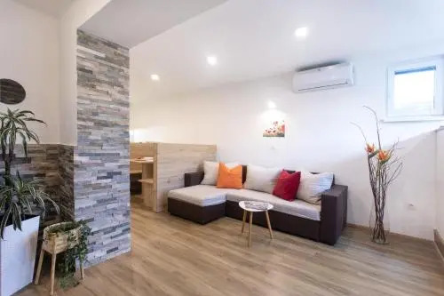 Apartments Repinc