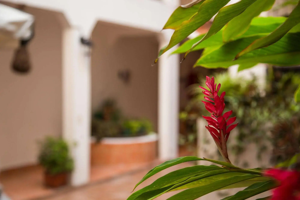 Posada Kin
