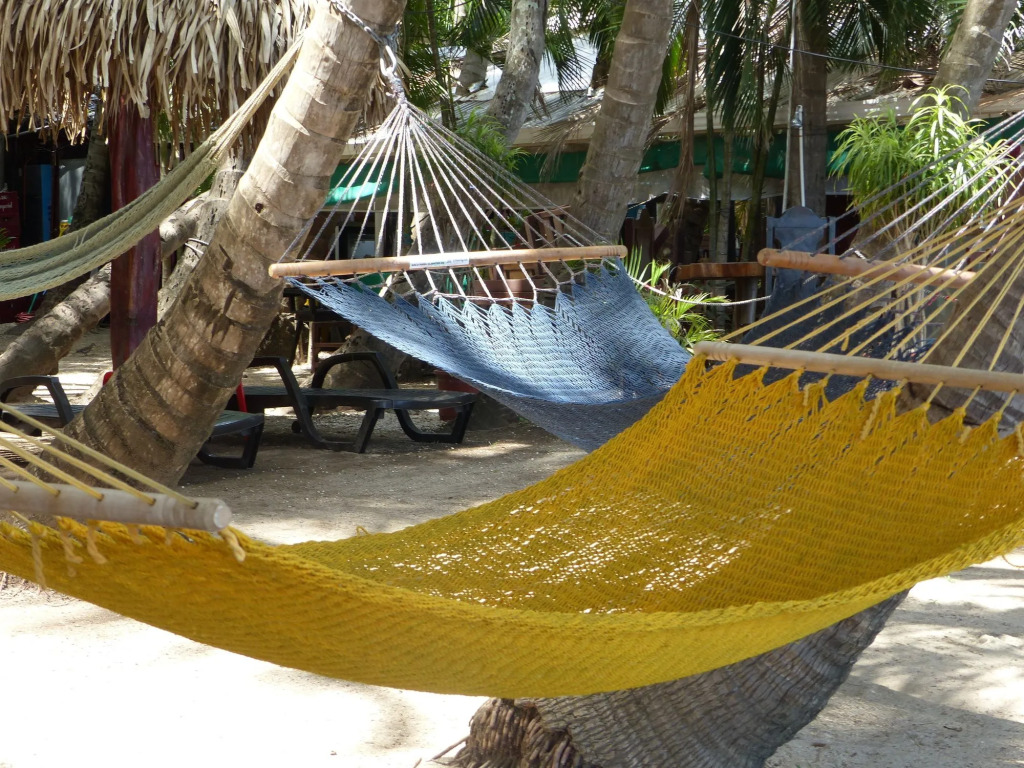 Hotel La Palapa