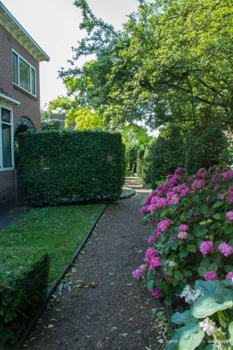 Hartje Haarlem B&B
