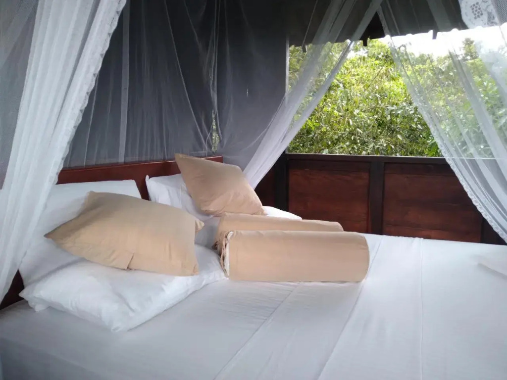 Dambulla Tree House