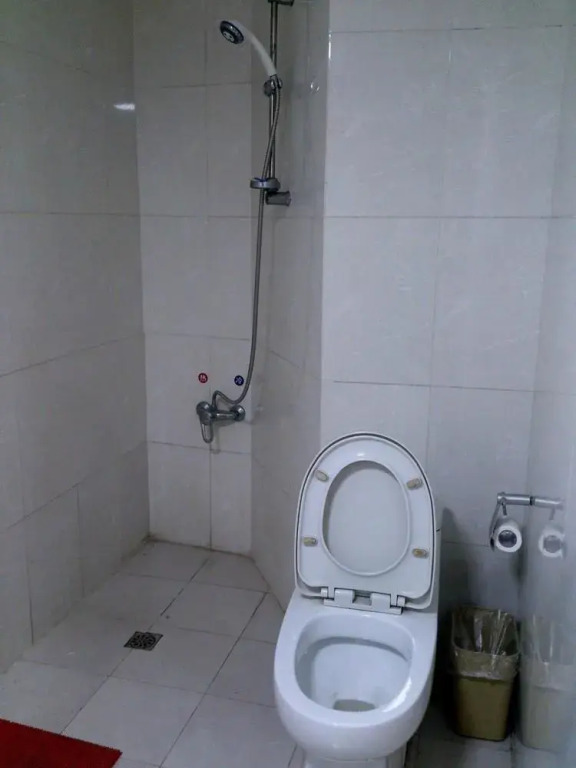 Wuhan Yanlong Business Hotel