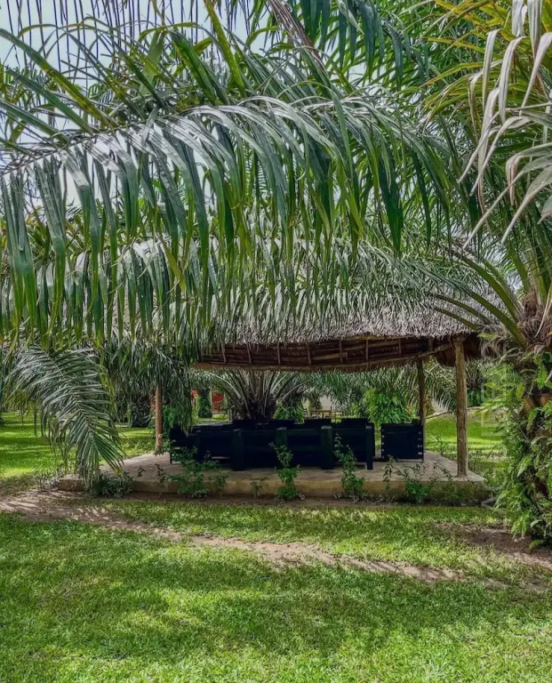 Amba Yard