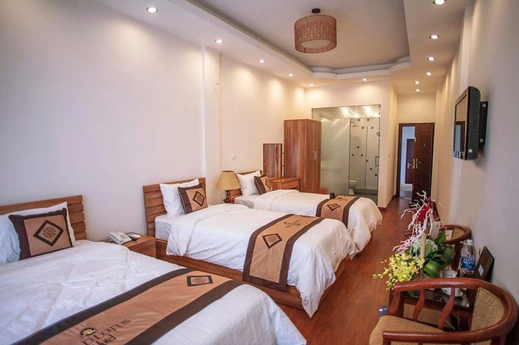 Wild Lotus Hotel & Travel 2