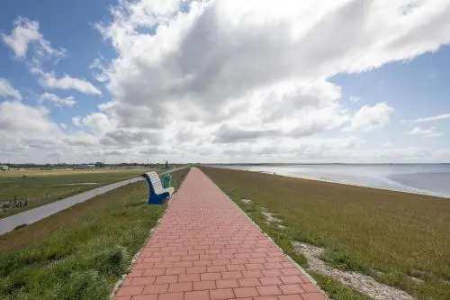 Ferienhaus Strandflieder