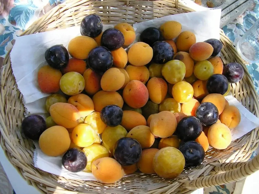 Agriturismo Le Serre